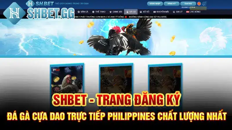 Đá Gà Cựa Dao Trực Tiếp Philippines - Sàn Đấu Kịch Tính 4 Shbet - Trang đăng ký đá gà cựa dao trực tiếp Philippines chất lượng nhất