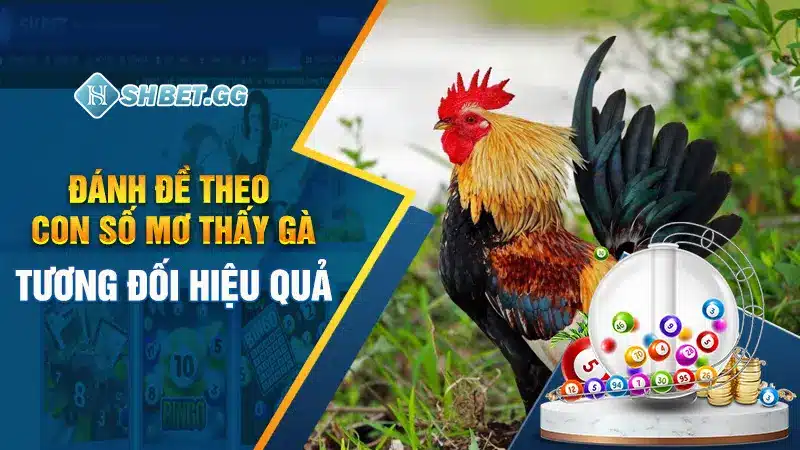 Điềm Báo Mơ Thấy Gà & Bộ Số Phong Thủy Đổi Mệnh 4 Đánh đề theo con số mơ thấy gà tương đối hiệu quả