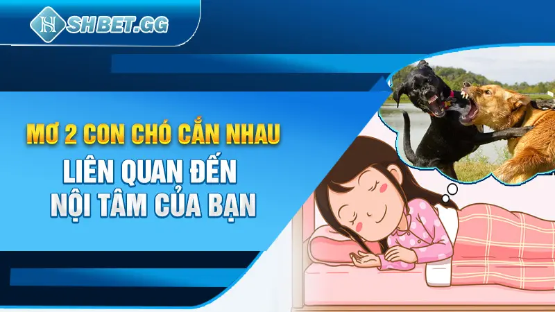 Giải Mã 10 Thông Điệp Ẩn Sau Mỗi Giấc Mơ Thấy Chó 3 Mơ 2 con chó cắn nhau liên quan đến nội tâm của bạn