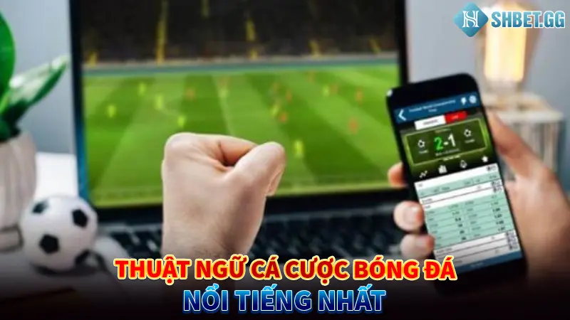 Thuật Ngữ Bóng Đá Là Gì? 5 Loại Thuật Ngữ Phổ Biến Nhất 2023 5 Thuật ngữ cá cược bóng đá nổi tiếng nhất