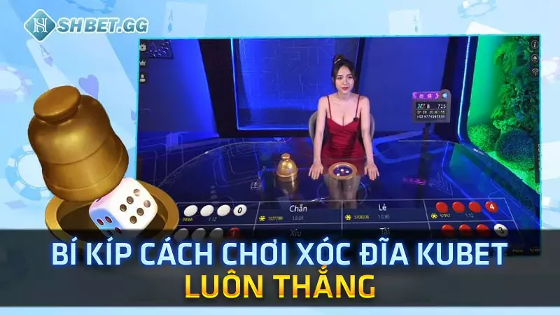 Cách chơi xóc đĩa Kubet luôn thắng dành cho tân Bet thủ 3 Bí kíp cách chơi Xóc Đĩa Kubet luôn thắng