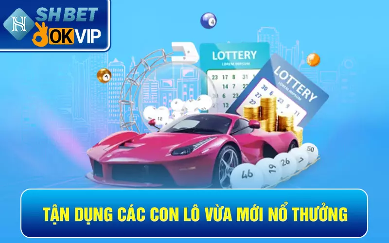 Hướng dẫn đánh lô trượt và kinh nghiệm cược vào bờ 100% 6 Tận dụng các con lô vừa mới nổ thưởng