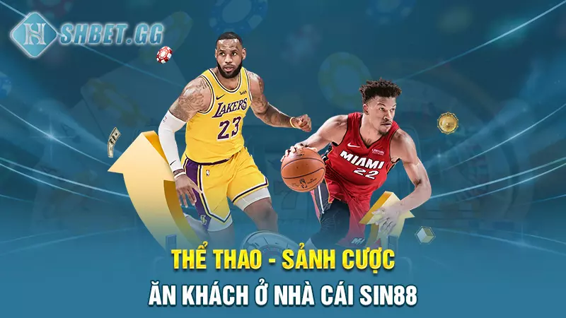 Nhà cái Sin88 - Thiên đường giải trí trong mơ của cược thủ 5 Thể thao - Sảnh cược ăn khách ở nhà cái Sin88