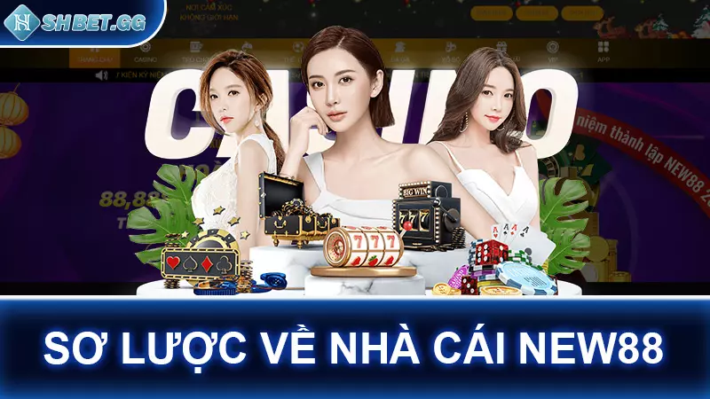 Nhà cái NEW88 - Uy tín hàng đầu đi đôi cùng chất lượng 3 Sơ lược về nhà cái NEW88