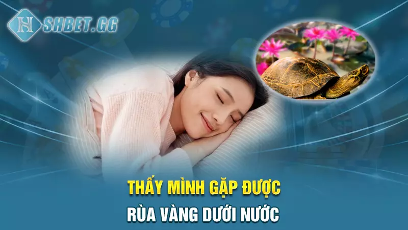 Giải mã nằm mơ thấy rùa đánh số mấy chắc thắng 100% 5 Thấy mình gặp được rùa vàng dưới nước