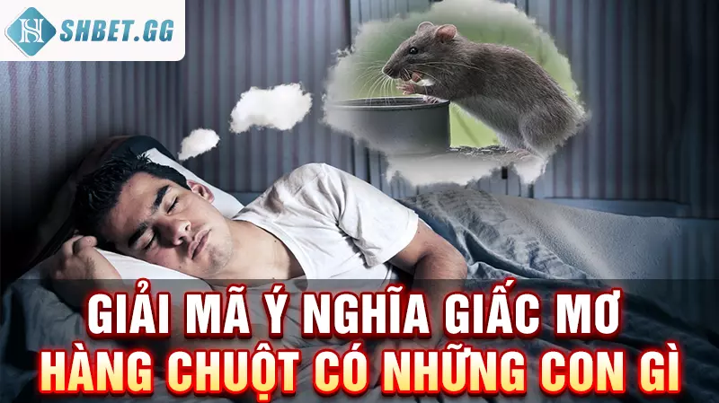 Giải mộng hàng chuột có những con gì nên đánh để thắng lớn 4 Giải mã ý nghĩa giấc mơ hàng chuột có những con gì