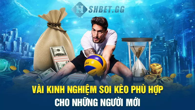 Bí kíp soi kèo bóng chuyền bất bại từ chuyên gia hàng đầu 5 Vài kinh nghiệm soi kèo phù hợp cho những người mới