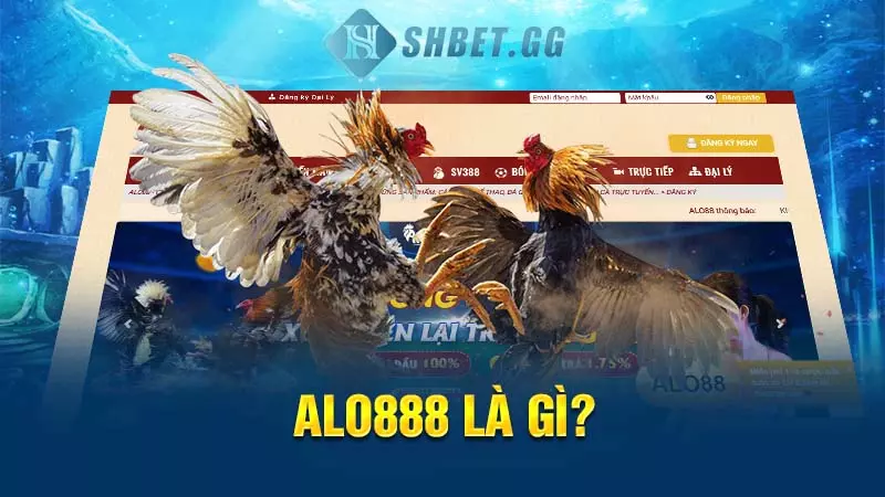 Alo888 - Cổng cá cược xanh chín, chất lượng tại Việt Nam 3 Alo888 là gì?